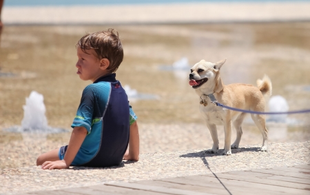 a boy and a dog, the opposite emotional expressionsのeditorial素材