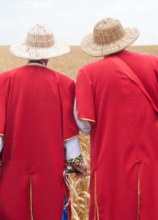 men look at wheat harvest, autumn dayの写真素材