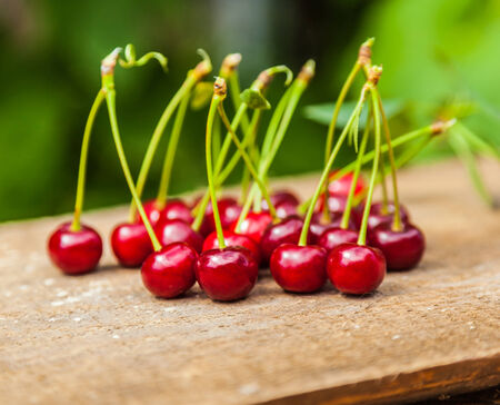 bunch of ripe cherries on a wooden boardの写真素材
