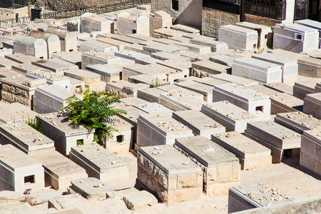 cemetery on the Mount of Olives Jerusalem cityのeditorial素材