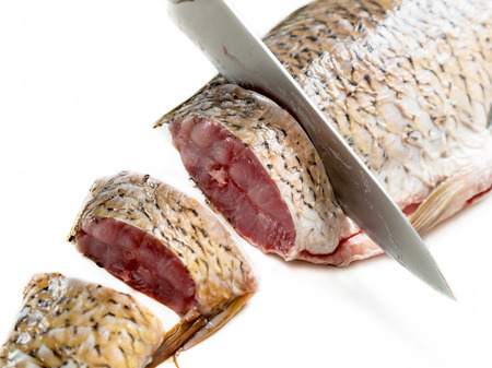 carp fish sliced with a knife on a white background isolatedの写真素材