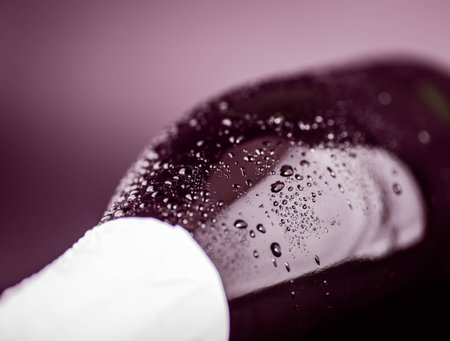 bottle of champagne close-up on a dark backgroundの写真素材