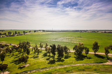 rural landscape, green field and blue skyの写真素材
