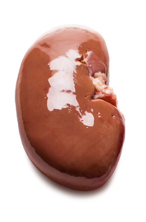 kidney raw meat isolated on a white backgroundの写真素材