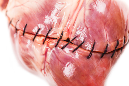 heart with seam isolated on white backgroundの写真素材