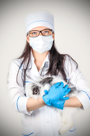 portrait of a doctor with a decorative rabbit in handsの写真素材