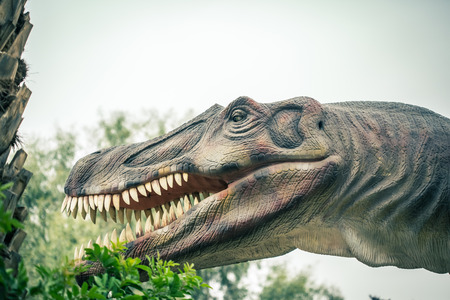 head ancient dinosaur on a background of plantsの写真素材