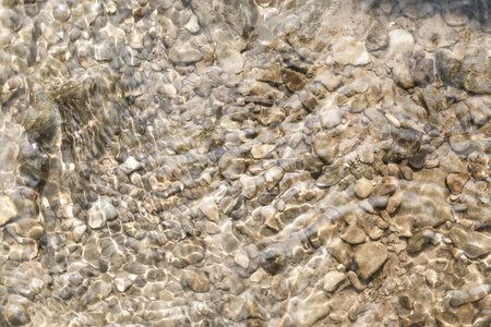 Mountain river Prut closeup in the Carpathians