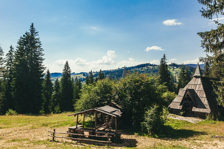Vintage wooden house in the Carpathian forestのeditorial素材