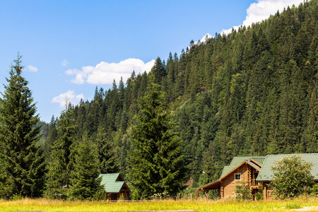 rustic wooden house in the Carpathian forestのeditorial素材