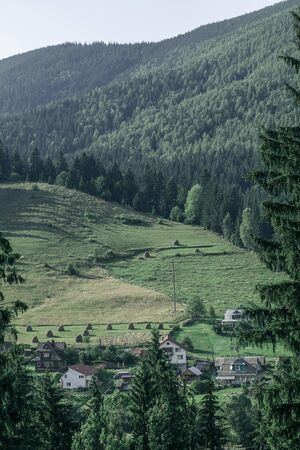 summer landscape of the Montenegrin ridge in Carpathiansの写真素材