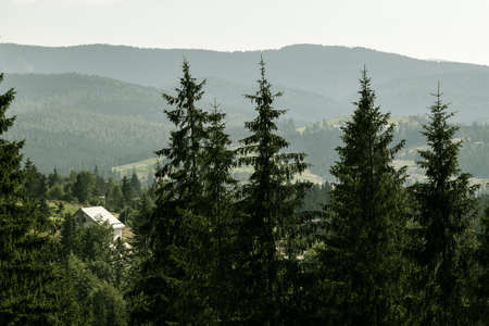 summer landscape of the Montenegrin ridge in Carpathiansの写真素材