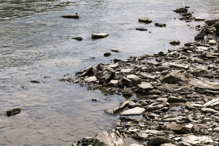 mountain river Prut closeup in the Carpathiansの写真素材