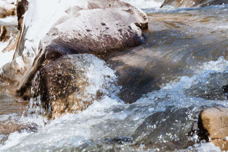 mountain river Prut closeup in the Carpathiansの写真素材