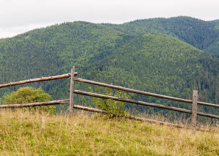 summer landscape of the Montenegrin ridge in Carpathiansの写真素材