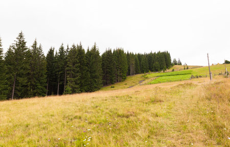 Rural mountain landscape of the Montenegrin ridge in Carpathiansの写真素材