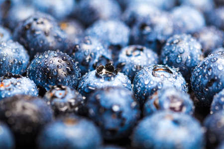 Natural background of fresh blueberries with drops close-upの写真素材