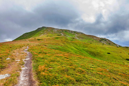 summer landscape of the Montenegrin ridge in Carpathians