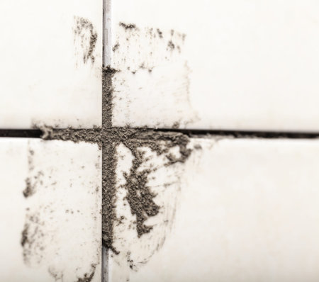 ceramic tiles on the wall in a dirty cementの写真素材