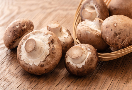 raw natural mushrooms mushrooms on wooden backgroundの写真素材