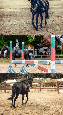 collage made from photos of equestrian competitionsの写真素材