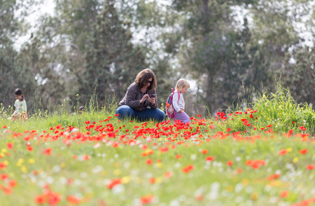 family resting in the garden with blooming poppiesのeditorial素材