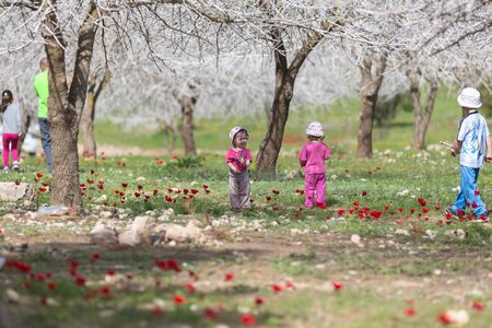 children playing in the garden with blooming poppiesのeditorial素材