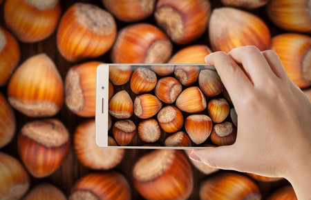 Hands with the phone close-up.Woman photographs the hazel nuts to a smartphoneの写真素材