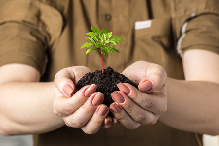 Woman's hands with a young plant growing in soil
