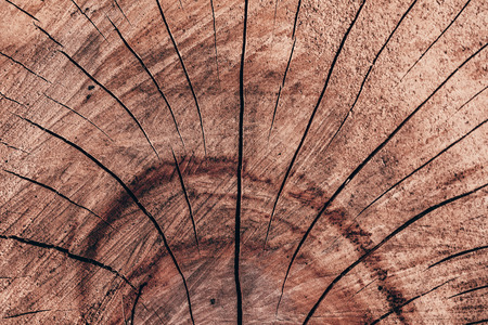 abstract background from old wood texture closeupの写真素材