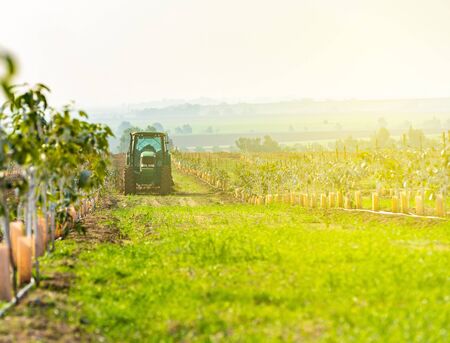rural landscape, tractor cultivates agricultural landの写真素材
