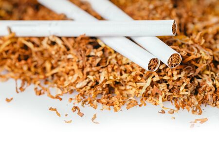 cigarettes close-up on a background of dry tobaccoの写真素材
