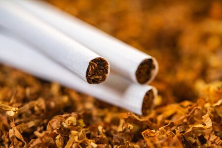cigarettes close-up on a background of dry tobaccoの写真素材