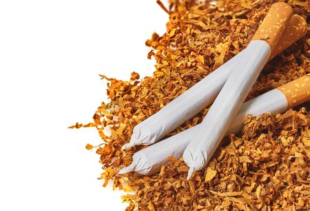 cigarettes close-up on a background of dry tobaccoの写真素材