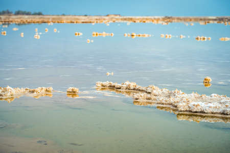nature landscape, dead sea with salt crystals closeupの写真素材