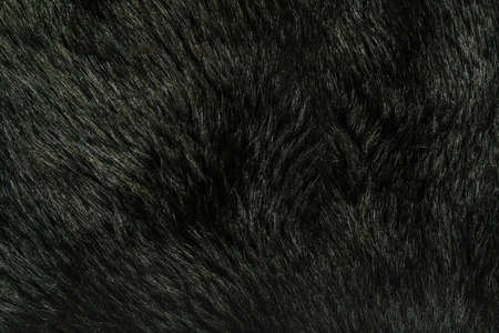 abstract background of faux fur texture closeupの写真素材