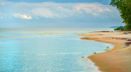 landscape, sandy beach with trees and water, coastlineの写真素材