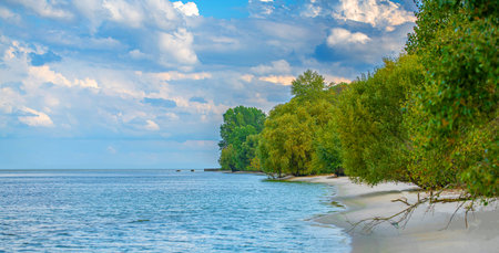 landscape, sandy beach with trees and water, coastline