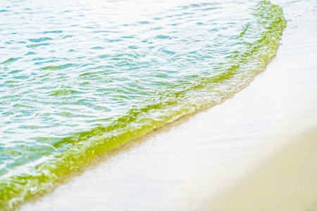 natural background, sandy shore and water closeup