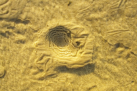 Natural background texture of frozen sand close-up. winter beach view