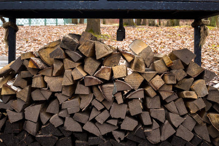 fire woods