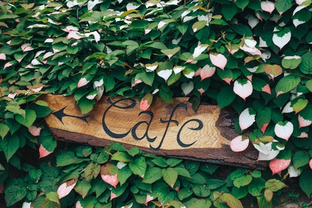 The inscription and the index is a cafe on the wood in green flowers. The arrow indicates the direction where to go if people want to eat.の写真素材