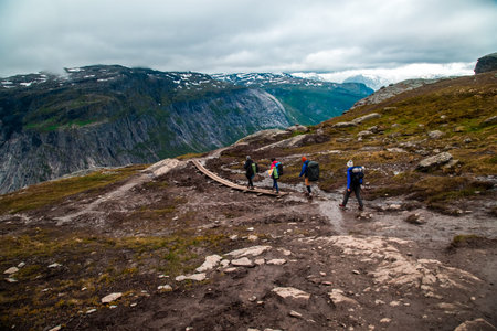 Group of hikers walking in the nature. People hiking with backpacks, tracking in the mountains....