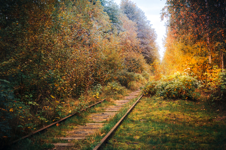 Abandoned railway in the fog going to perspective, golden leaves of the forest in the autumn, old railwayの写真素材