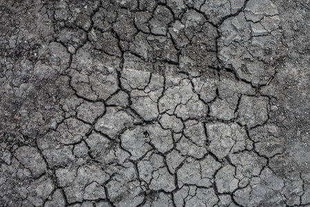 Dry cracked earth background