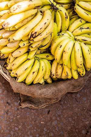 Basket with ripe bananas at grocery store. Farmer food market department in supermarket.Buy natural good vitamin products for healthy eating. Ripe yellow & fresh green banana close upの写真素材