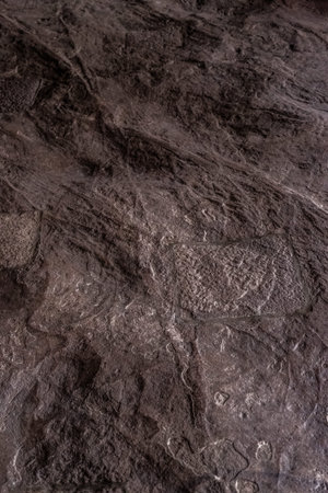 Dark grey black slate background or texture.