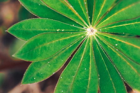 green flower. abstract geometric background, colorful and texture