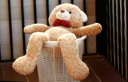 Bear dried
