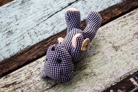 Teddy bear lying on a wooden board.の写真素材